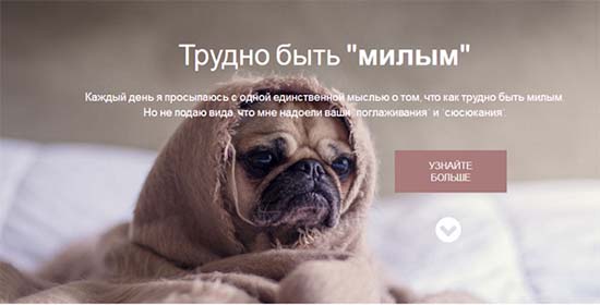 Как сделать фон в CSS.