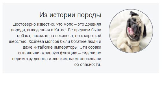 Как использовать свойство float в CSS