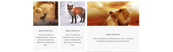 Пример верстки блог-секции на CSS Grid #5.