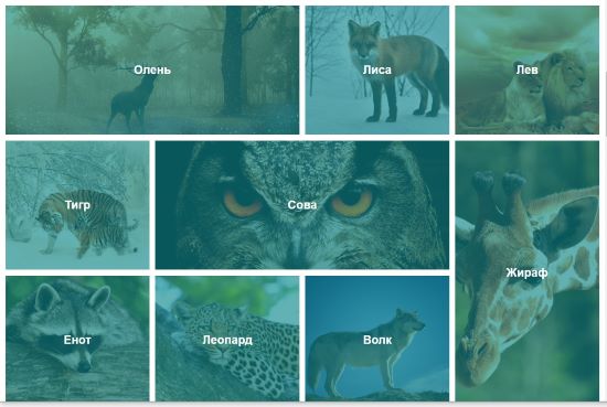 Пример верстки фотогалереи на CSS Grid.