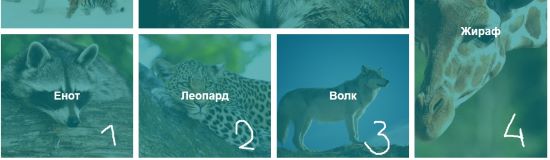 Пример верстки фотогалереи на CSS Grid.