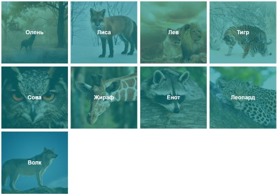 Пример верстки фотогалереи на CSS Grid.