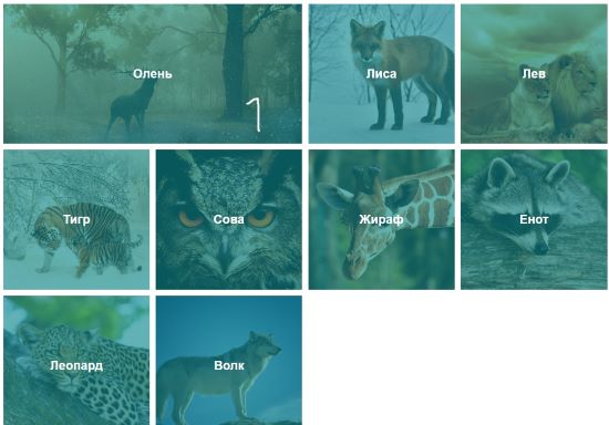 Пример верстки фотогалереи на CSS Grid.