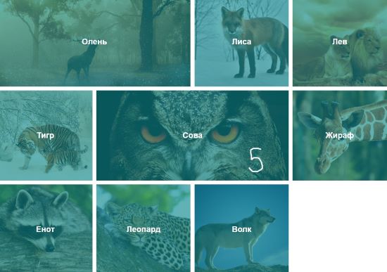 Пример верстки фотогалереи на CSS Grid.