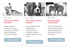 Карточка блог поста на CSS