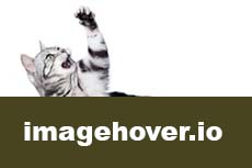 CSS эффекты при наведении на картинку