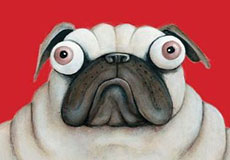 Pug – это не мопс, тогда кто?