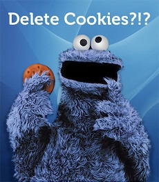 Работа с cookie через JavaScript