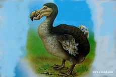 Изображение 3b