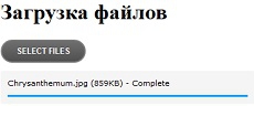 Динамическая загрузка файлов на jQuery