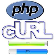 Применение cURL