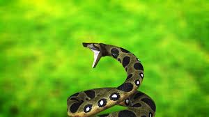Среда разработки Anaconda для Python
