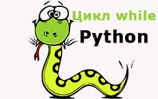 Цикл while в Python