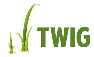 Twig. Базовая настройка